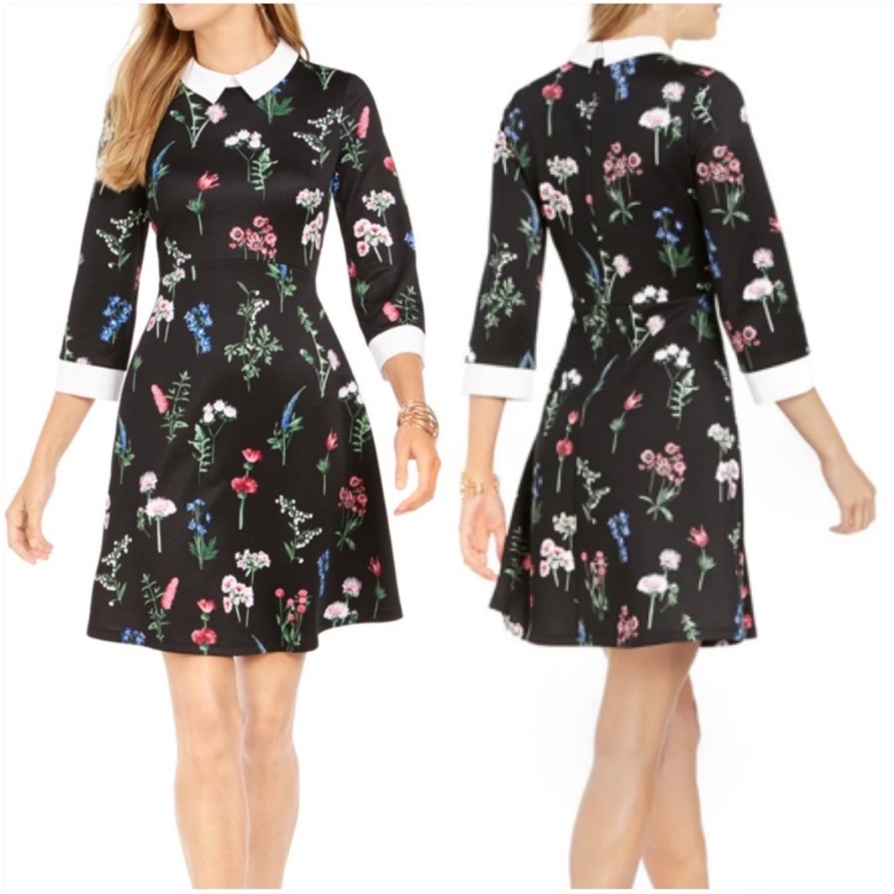 Papagallo Fit & Flair Floral Dress - Peter Pan Collar